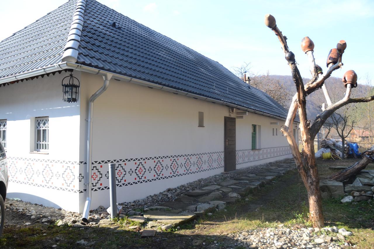 Gospodaria Lui Nea Ion Vama Buzaului Εξωτερικό φωτογραφία
